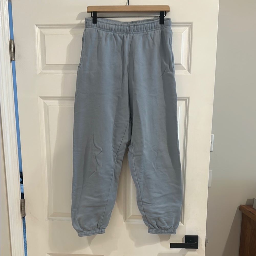 Aritzia TNA Cozy Fleece Joggers in Light Blue